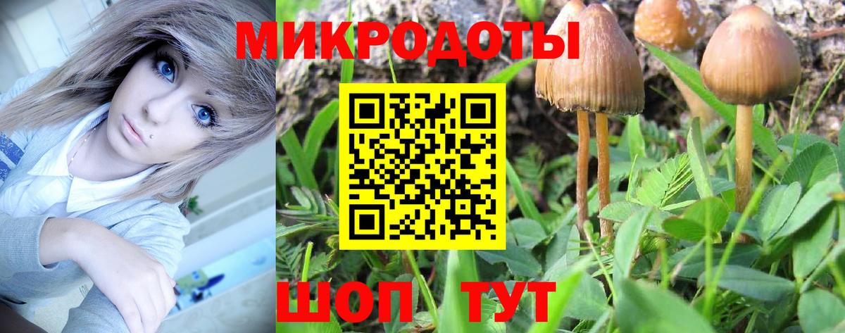 Томск  Галлюциногенные грибы Magic Shrooms  Вход с VPN  цена   Псилоцибиновые грибы ЛСД 